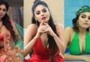 Bigg Boss Sanam Shetty calmly answered the question